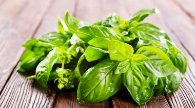 garnishing-instructions-image